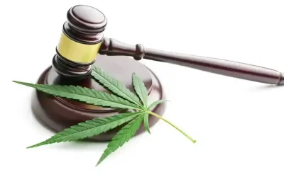 Er CBD lovligt? Og hvordan ved jeg, at min CBD olie er lovlig?