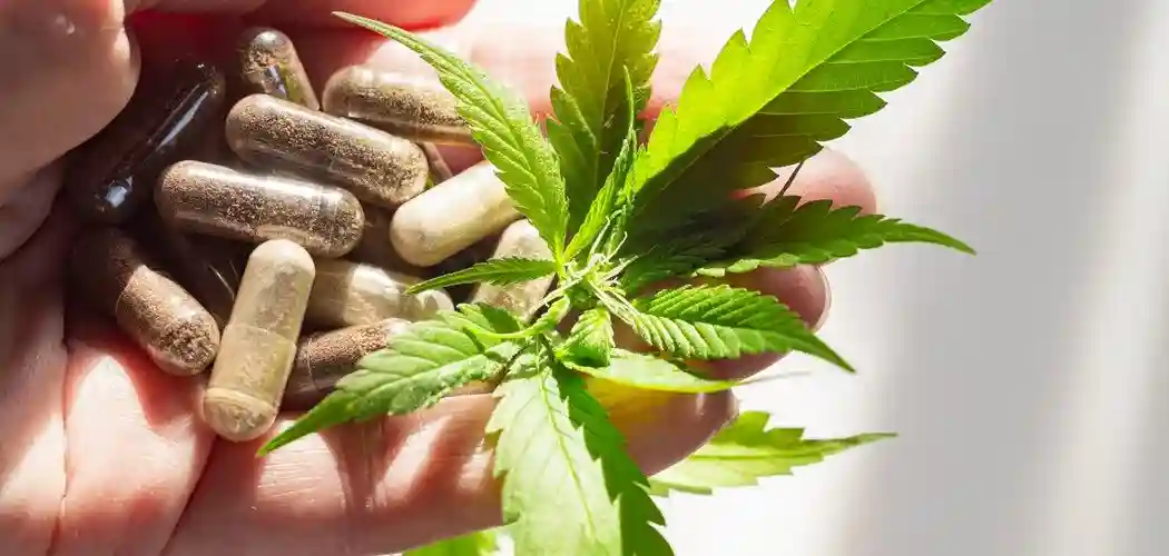 10 gode grunde til at bruge CBD olie