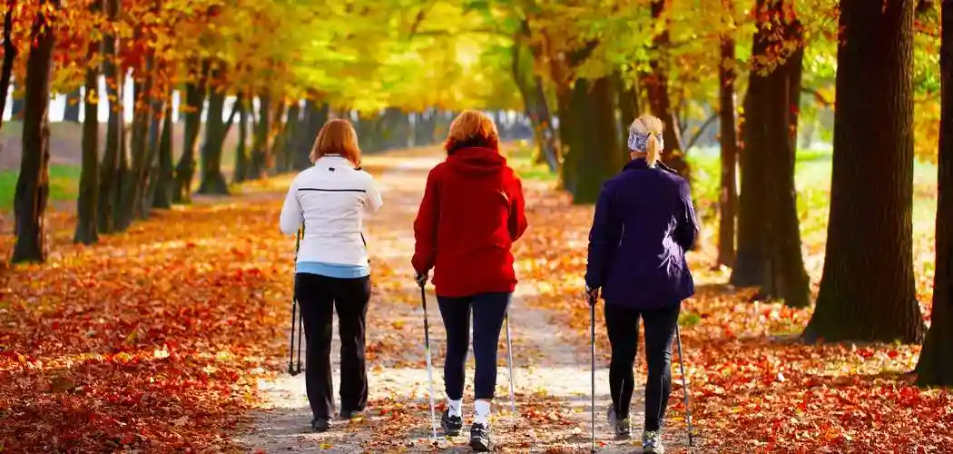 CBD olie overhaler C og D vitamin – Mest populære supplement