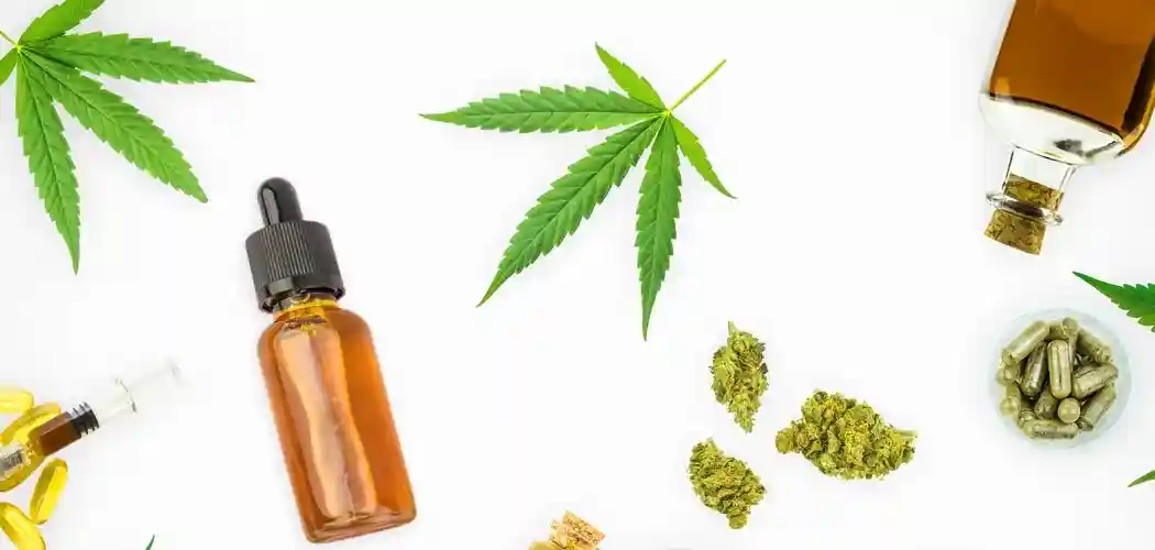 CBD olie: En naturlig vej til et styrket immunforsvar