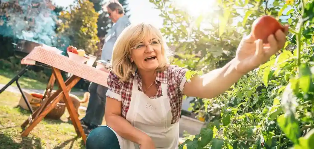 Sund med CBD olie: Bevar dit gode helbred med CBD olie